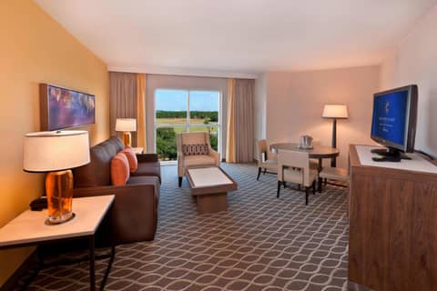 Gaylord Palms Resort & Convention Center — photo 9