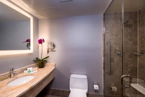 Fairfield By Marriott New York Manhattan Times Square — photo 9