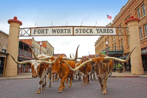 Radisson Hotel Fort Worth North-Fossil Creek — photo 5
