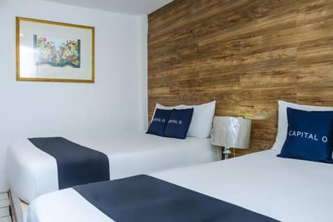 Capital O Hotel Dos Mares, Cabo San Lucas — hotel room