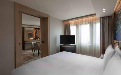 DoubleTree by Hilton Istanbul - Sirkeci — photo 7