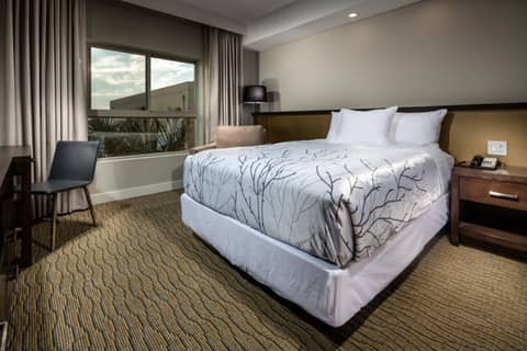 Hotel Aventura — photo 7