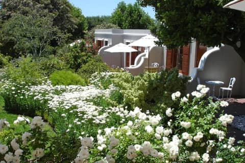 Glen Avon Lodge - Constantia — photo 6