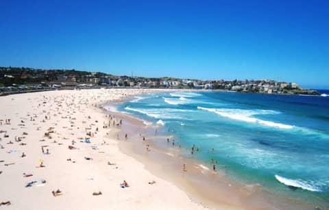 Ultimate Apartments Bondi Beach — photo 2