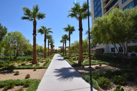 The Berkley Las Vegas — photo 5