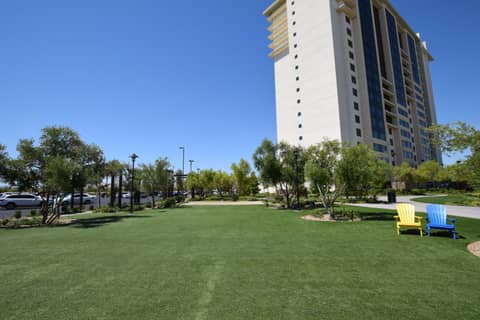 The Berkley Las Vegas — photo 9