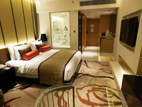 Pride Plaza Hotel Aerocity New Delhi — photo 3