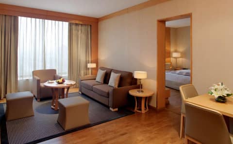 Radisson Blu Hotel New Delhi Dwarka — photo 4