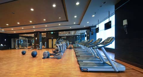 Radisson Blu Hotel New Delhi Paschim Vihar — photo 9