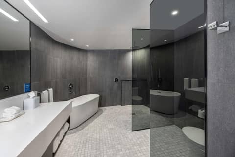 The Statler Dallas, Curio Collection By Hilton — photo 7