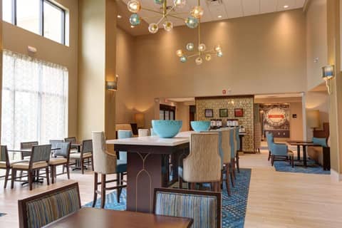 Hampton Inn & Suites by Hilton Tampa Busch Gardens Area — photo 4