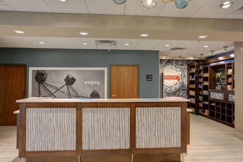Hampton Inn & Suites by Hilton Tampa Busch Gardens Area — photo 9