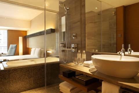 Hyatt Regency Tokyo — photo 7