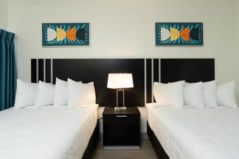 OASIS BAY SUITES, Tampa, Busch Gardens, USF — photo 2