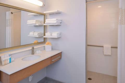 Hampton Inn & Suites Denver-Speer Boulevard — photo 8