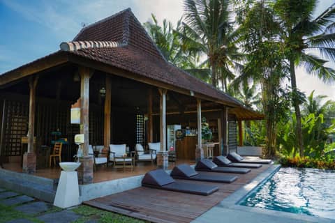 Pertiwi Bisma Ubud — photo 9
