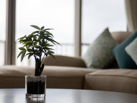 Cozy Stay in Naha — other