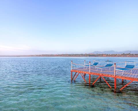 Pickalbatros Royal Moderna Sharm "Aqua Park"- All inclusive — photo 4