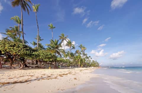Grand Palladium Palace Resort Spa & Casino - All Inclusive — photo 4