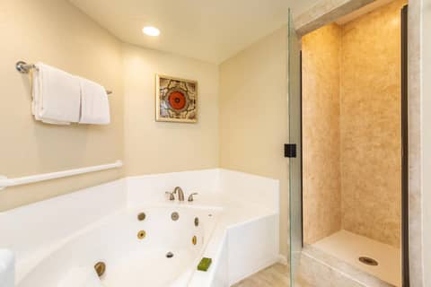 Scottsdale Camelback Resort — photo 3