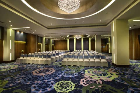 Park Plaza Shahdara — photo 4