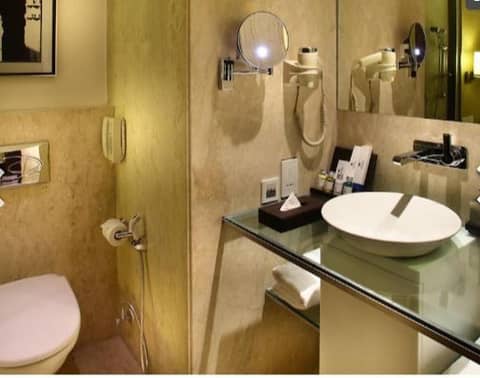 Park Plaza Shahdara — photo 9