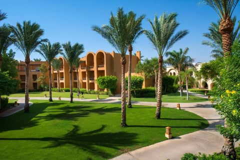 Stella Beach Resort & Spa Makadi Bay - 24 HRS All Inclusive — photo 8