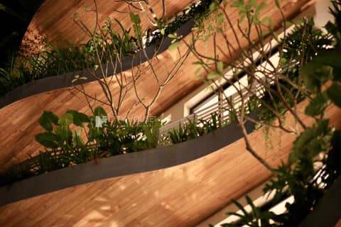 CityHouse VIBE City Oasis — photo 4