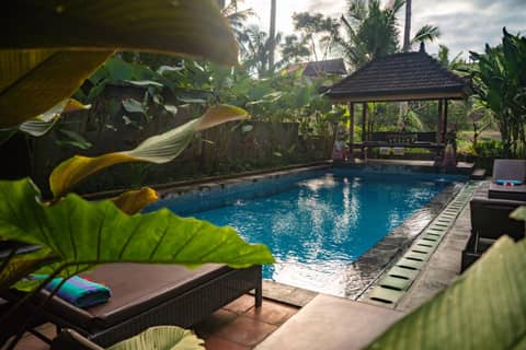 Alam Terrace Cottages — recepcion & lobby