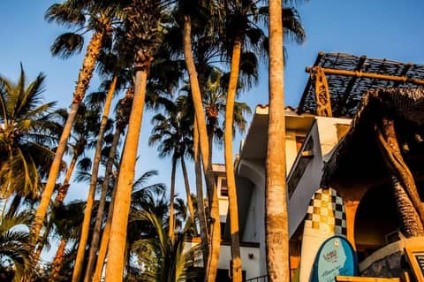 Cabo Surf Hotel & Spa — photo 8