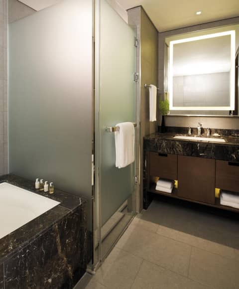 LOTTE CITY HOTEL Mapo — photo 6