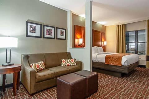 Comfort Suites NW Dallas Near Love Field — photo 7