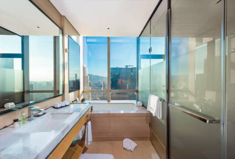Shenzhen Futian Wyndham Grand — photo 9