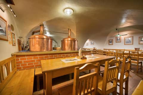 U Medvidku-Brewery Hotel — photo 4