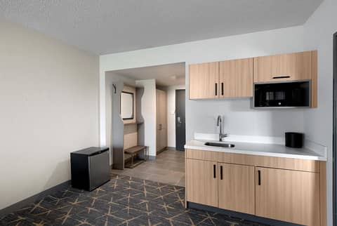 Holiday Inn & Suites Chicago-Downtown by IHG — photo 7