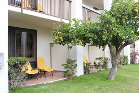 Palm Mountain Resort & Spa — balance & terrace