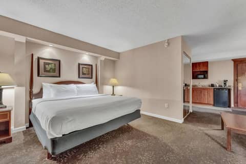 Buffalo Airport Hotel — photo 7