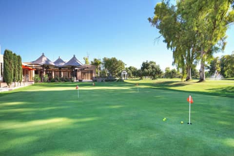 Orange Tree Resort — photo 2