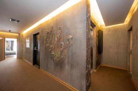 Continental Airport Hotel — photo 5