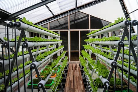Greenhost Boutique Hotel Prawirotaman — other