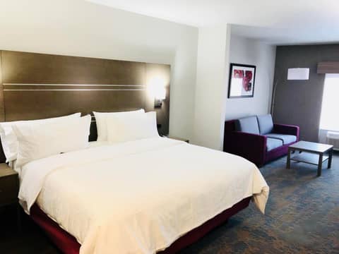Holiday Inn Express & Suites Memphis Arpt Elvis Presley Blv by IHG — photo 4