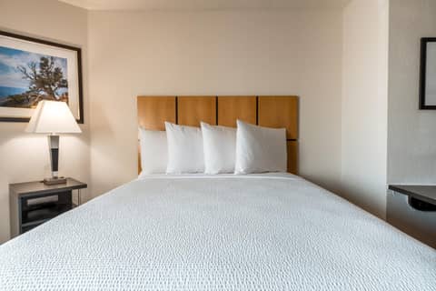 Sonesta Simply Suites Dallas Richardson — photo 5