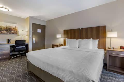 Best Western North Phoenix Hotel — photo 9