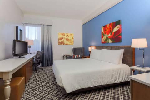 Hilton Garden Inn Dallas/Market Center — photo 7