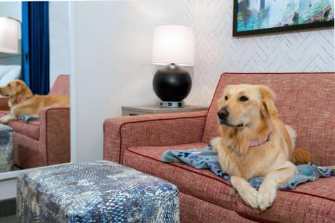 Home2 Suites by Hilton Buffalo Airport/ Galleria Mall — photo 4