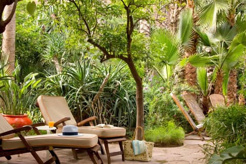 Les Jardins De La Médina — activities & amenities