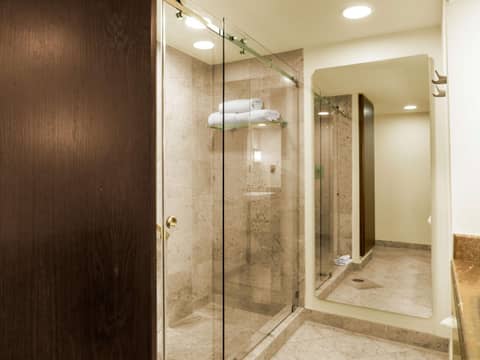 MS Milenium Monterrey Curio Collection by Hilton — photo 2