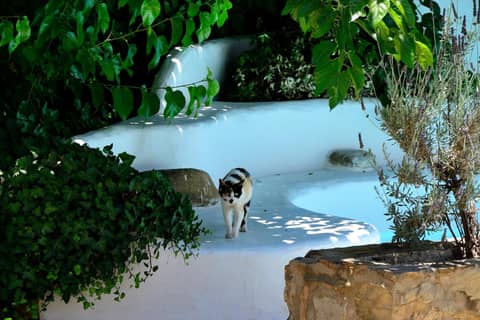 Hotel Humaina — photo 7