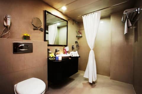 Taurus Sarovar Portico — photo 2