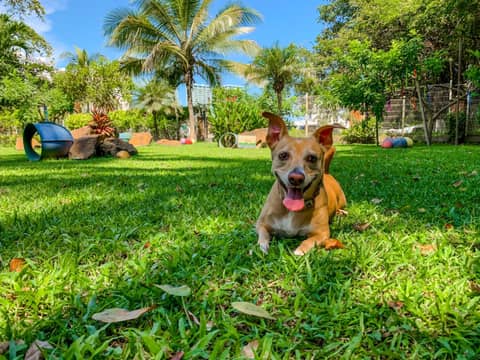 Puerto de Luna Pet Friendly and Family Suites — photo 5